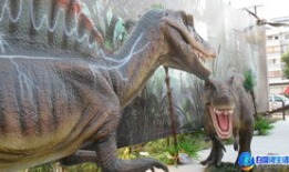 恐龙视频,揭秘史前巨兽的传奇与奥秘