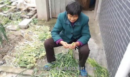 老头老太电梯活春视频,老夫妻的私密瞬间引发社会热议